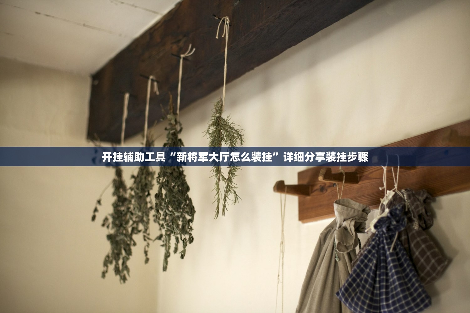 开挂辅助工具“新将军大厅怎么装挂	”详细分享装挂步骤