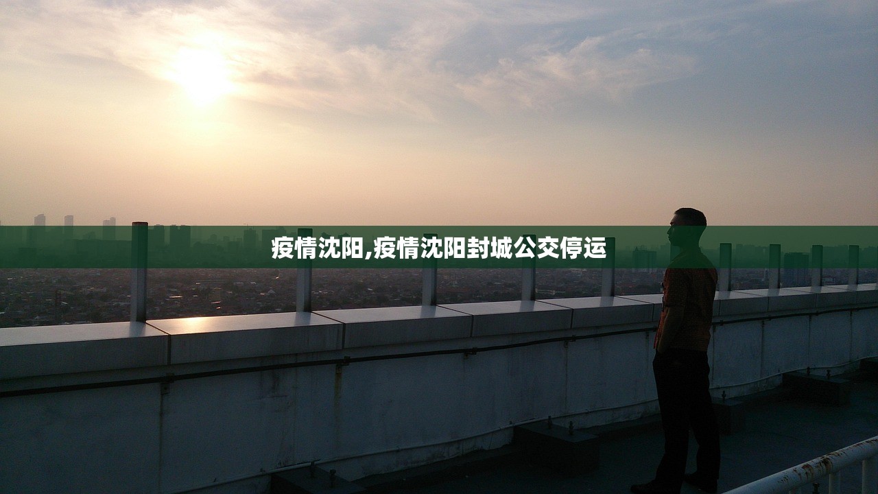 疫情沈阳,疫情沈阳封城公交停运 疫情沈阳,疫情沈阳封城公交停运