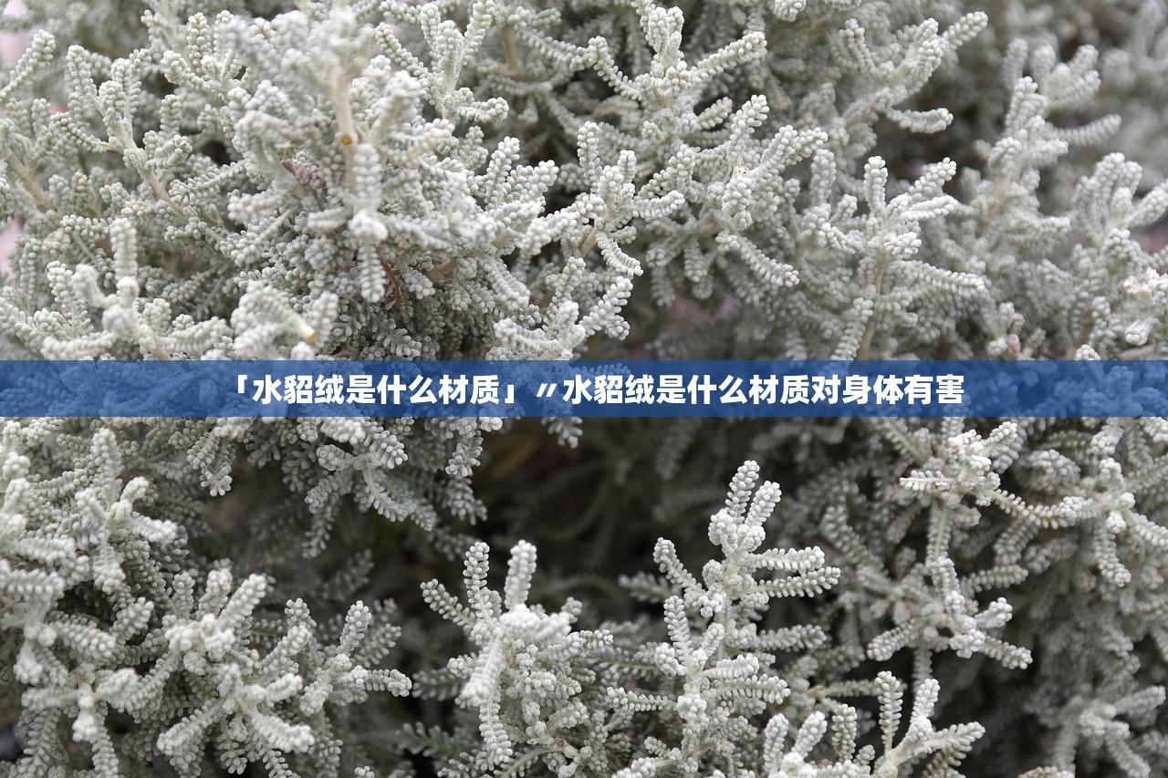 「水貂绒是什么材质」〃水貂绒是什么材质对身体有害 「水貂绒是什么材质」〃水貂绒是什么材质对身体有害