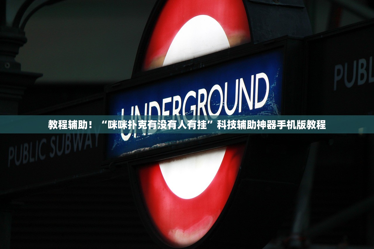教程辅助！“咪咪扑克有没有人有挂”科技辅助神器手机版教程