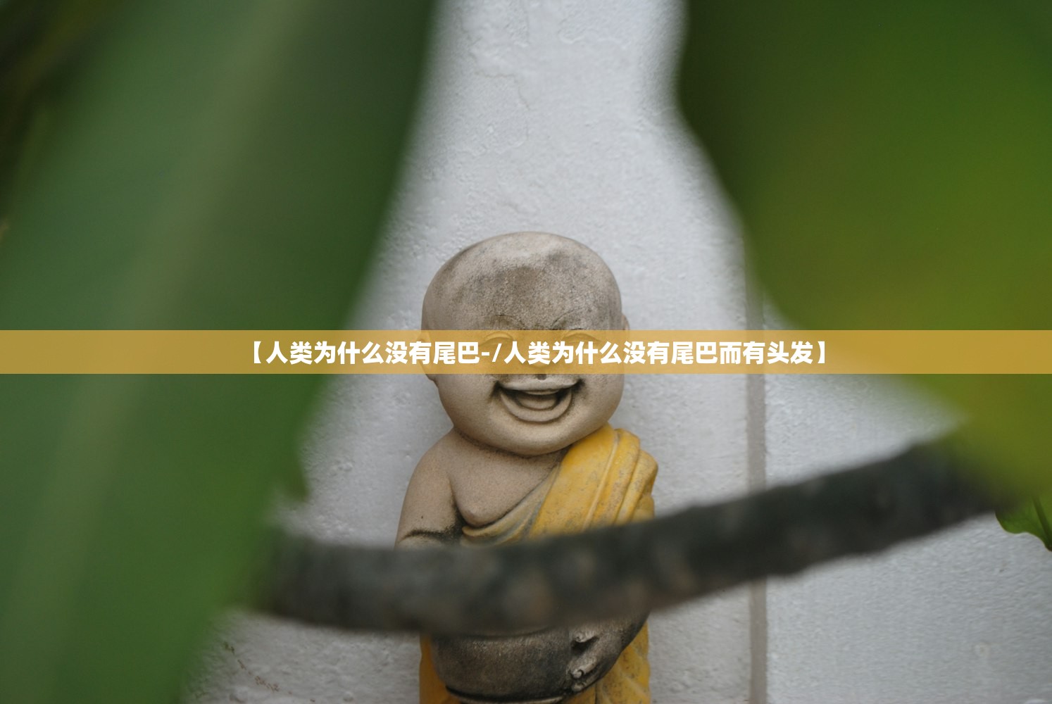 【人类为什么没有尾巴-/人类为什么没有尾巴而有头发】 【人类为什么没有尾巴-/人类为什么没有尾巴而有头发】