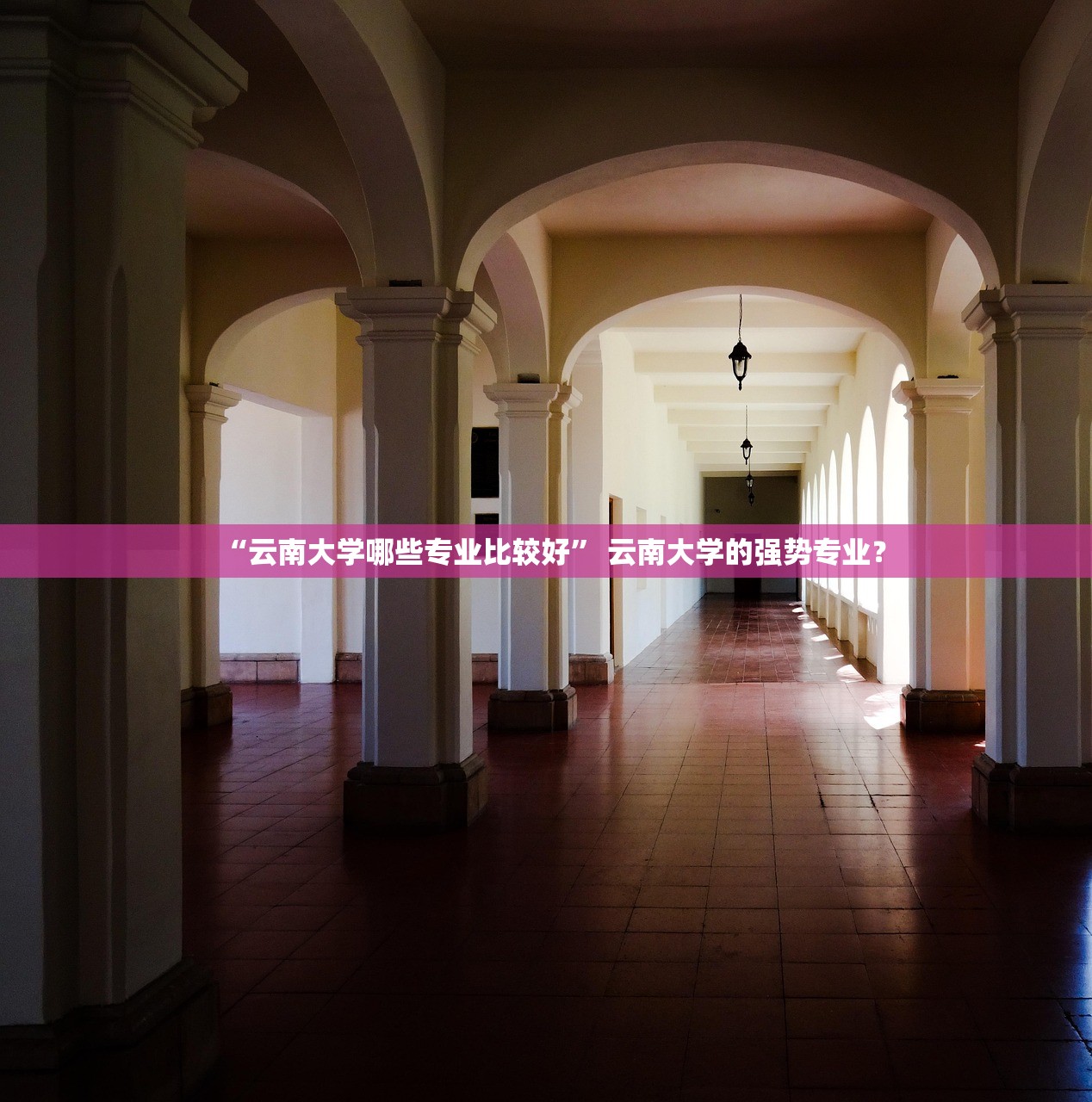 “云南大学哪些专业比较好” 云南大学的强势专业？