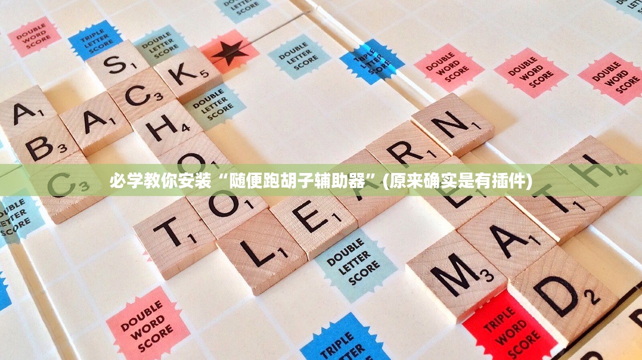 必学教你安装“随便跑胡子辅助器”(原来确实是有插件)