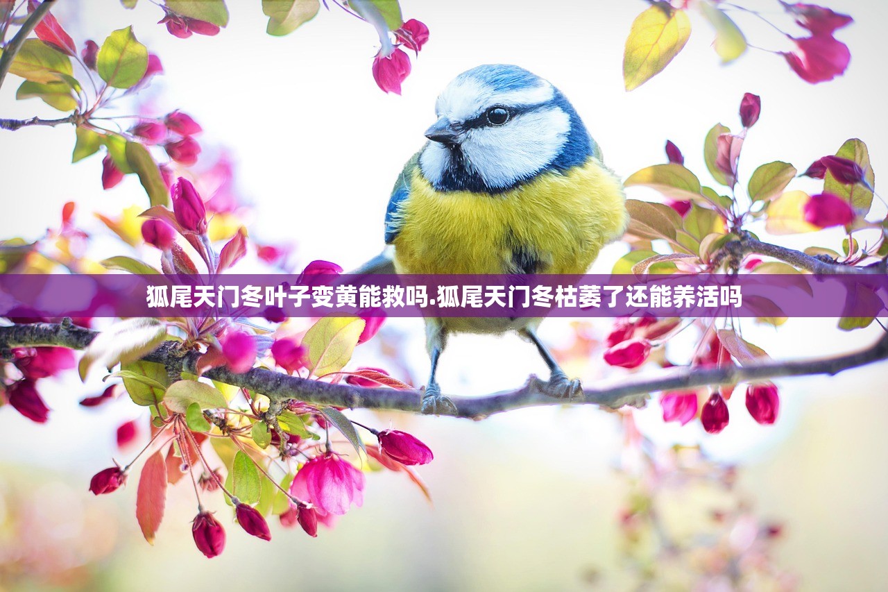 狐尾天门冬叶子变黄能救吗.狐尾天门冬枯萎了还能养活吗
