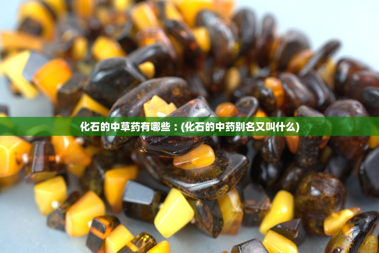 化石的中草药有哪些︰(化石的中药别名又叫什么) 化石的中草药有哪些︰(化石的中药别名又叫什么)