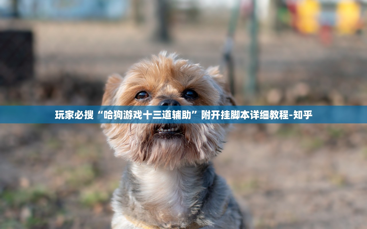 玩家必搜“哈狗游戏十三道辅助	”附开挂脚本详细教程-知乎
