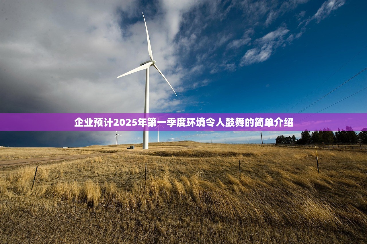 企业预计2025年第一季度环境令人鼓舞的简单介绍 企业预计2025年第一季度环境令人鼓舞的简单介绍