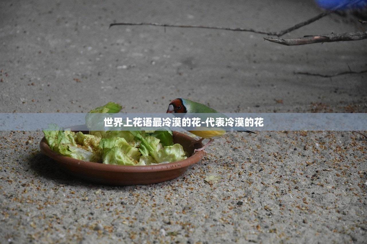 世界上花语最冷漠的花-代表冷漠的花 世界上花语最冷漠的花-代表冷漠的花