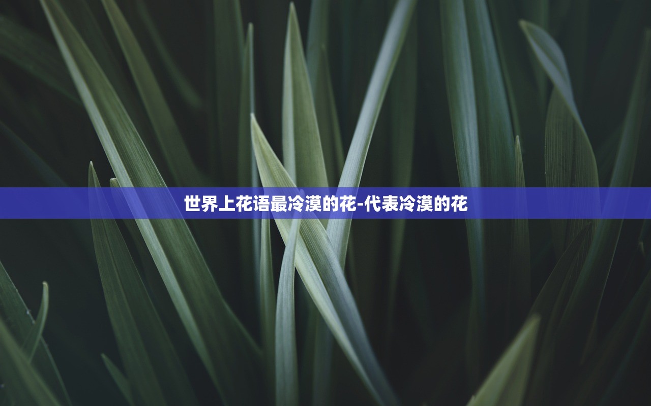 世界上花语最冷漠的花-代表冷漠的花 世界上花语最冷漠的花-代表冷漠的花