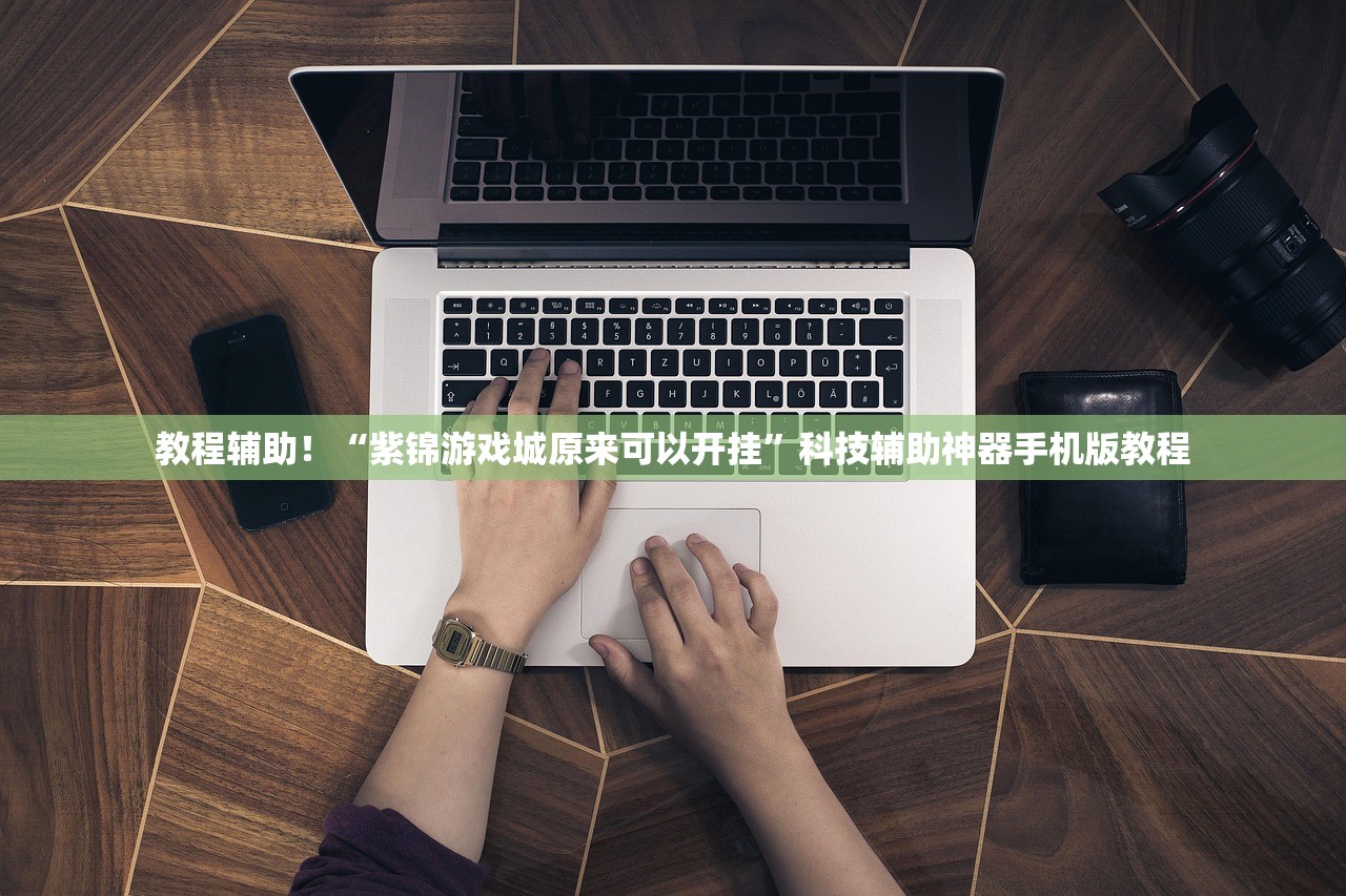 教程辅助！“紫锦游戏城原来可以开挂”科技辅助神器手机版教程