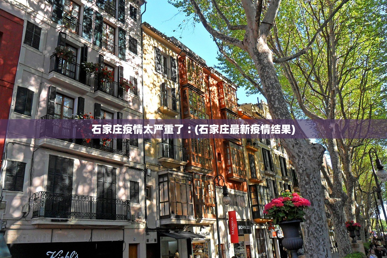 石家庄疫情太严重了︰(石家庄最新疫情结果)