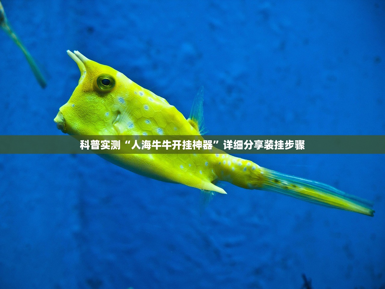 科普实测“人海牛牛开挂神器”详细分享装挂步骤