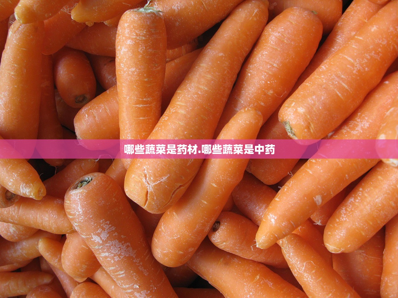 哪些蔬菜是药材.哪些蔬菜是中药 哪些蔬菜是药材.哪些蔬菜是中药