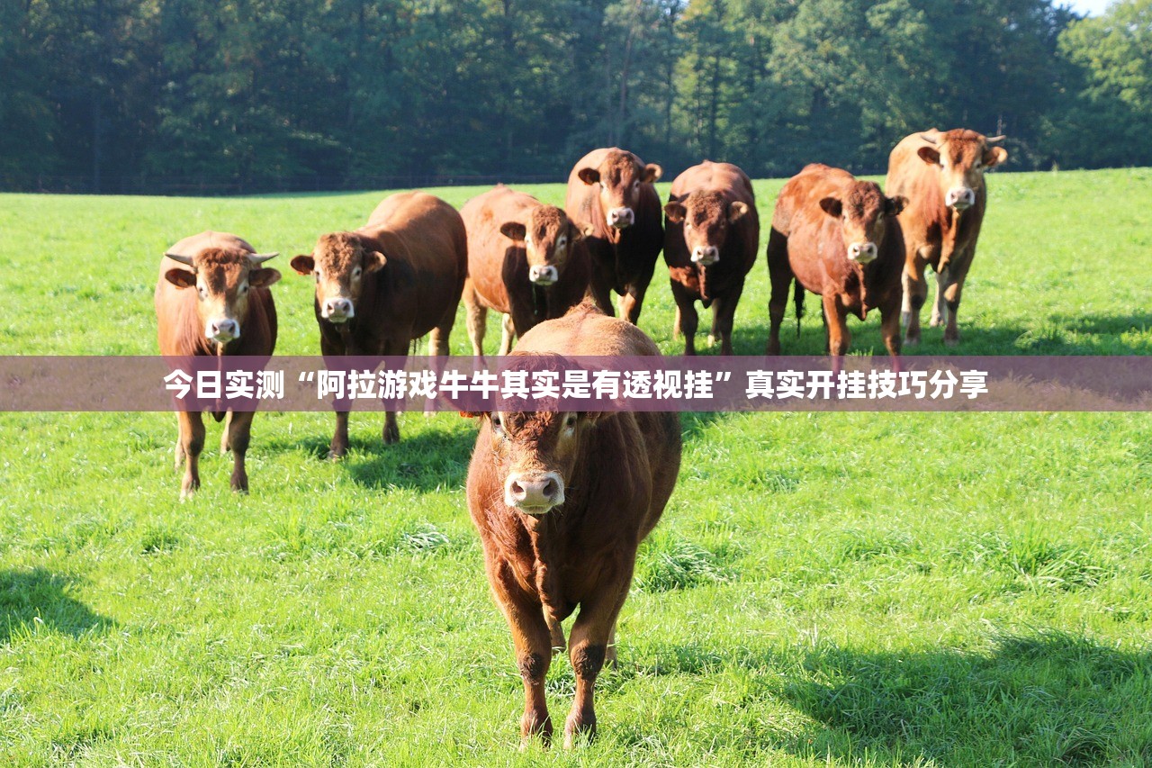 今日实测“阿拉游戏牛牛其实是有透视挂”真实开挂技巧分享