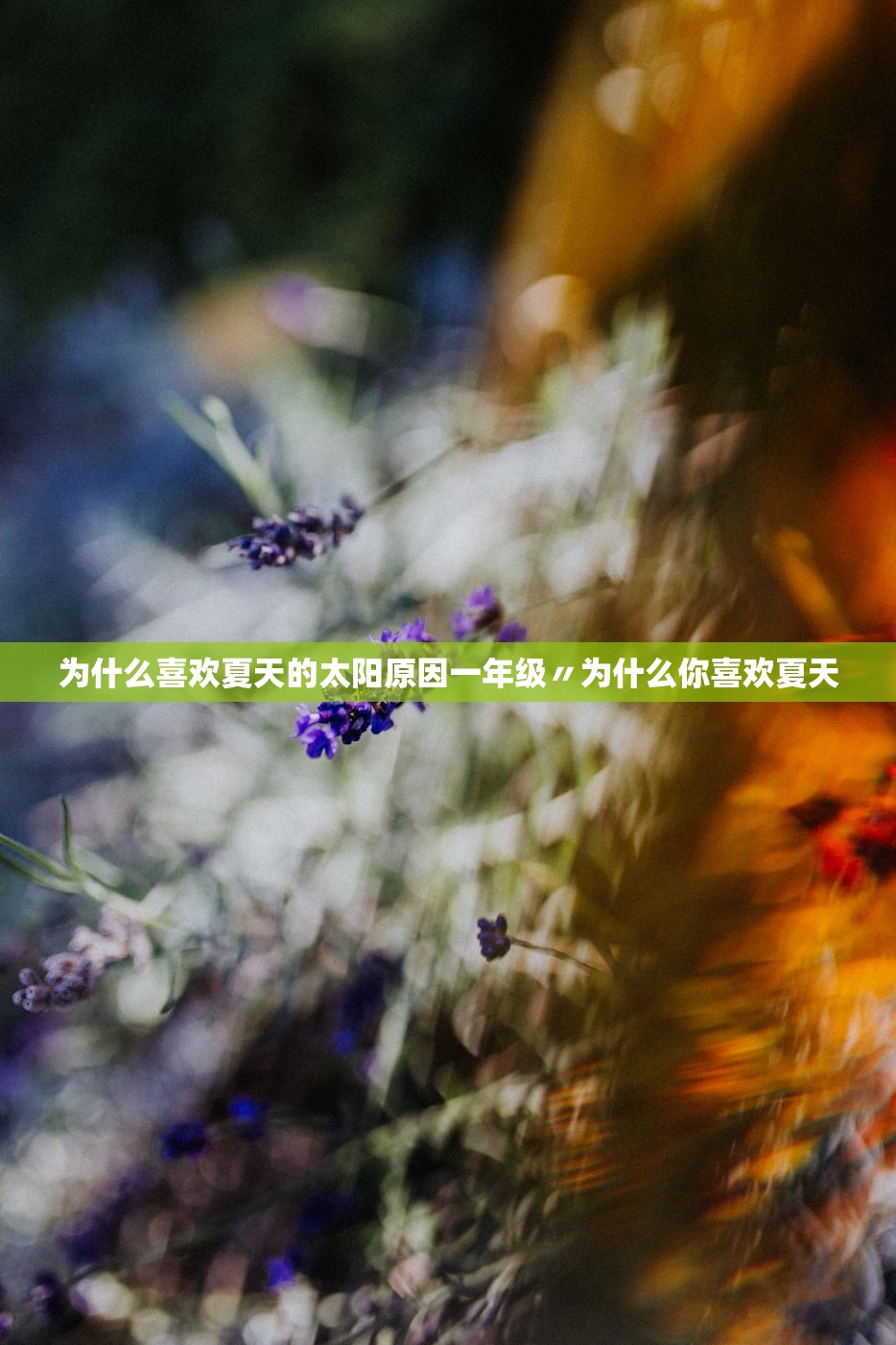 为什么喜欢夏天的太阳原因一年级〃为什么你喜欢夏天 为什么喜欢夏天的太阳原因一年级〃为什么你喜欢夏天