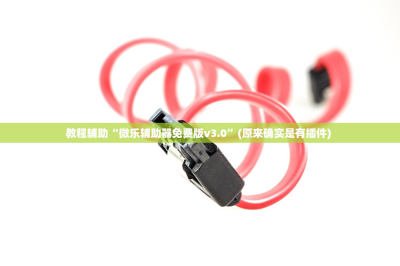 教程辅助“微乐辅助器免费版v3.0”(原来确实是有插件) 
