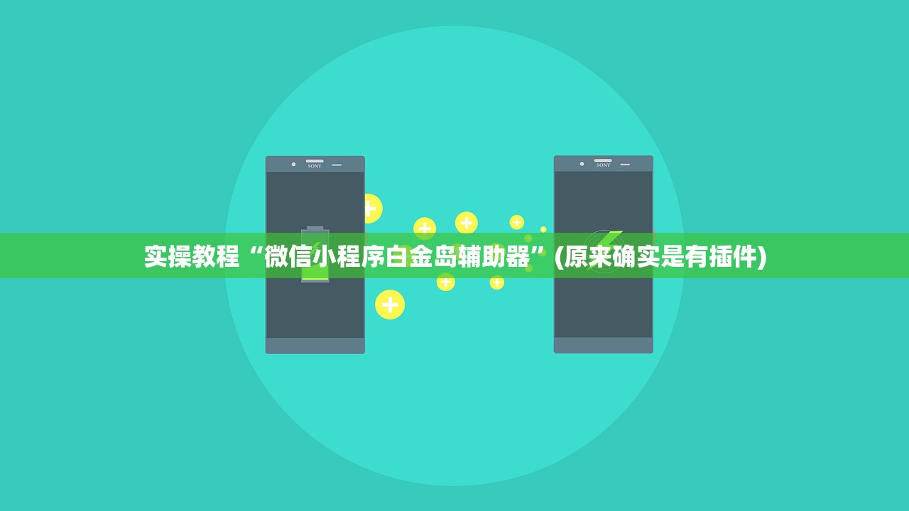 实操教程“微信小程序白金岛辅助器”(原来确实是有插件)
