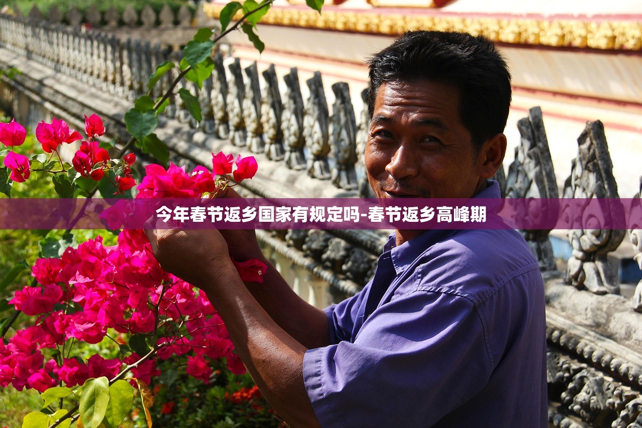 今年春节返乡国家有规定吗-春节返乡高峰期 今年春节返乡国家有规定吗-春节返乡高峰期