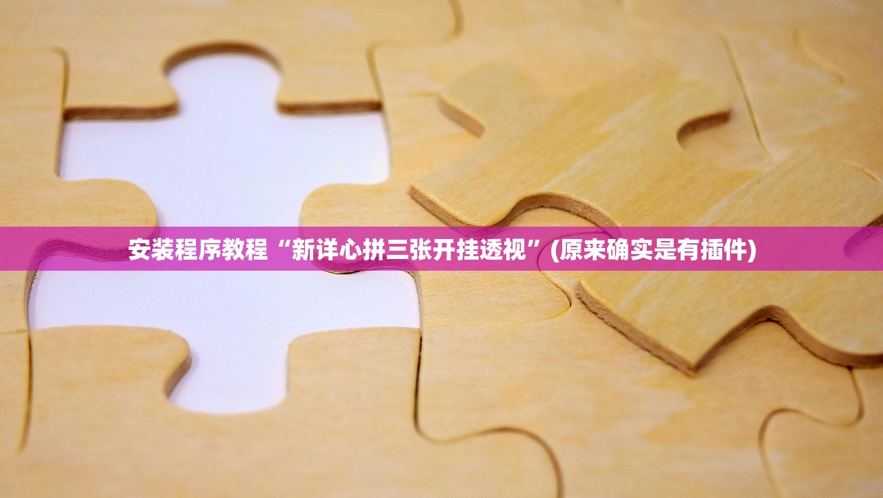 安装程序教程“新详心拼三张开挂透视”(原来确实是有插件)
