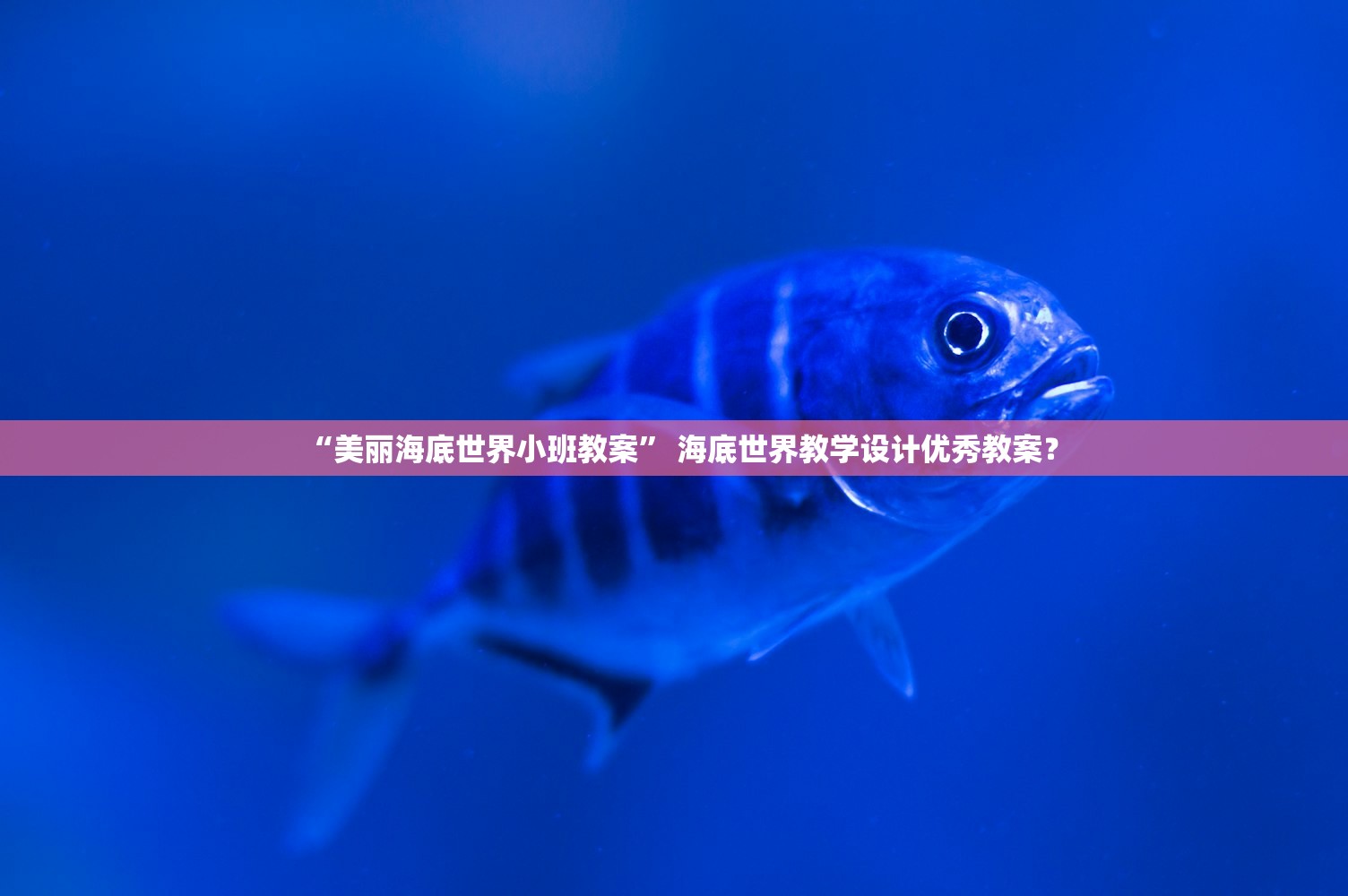 “美丽海底世界小班教案” 海底世界教学设计优秀教案？
