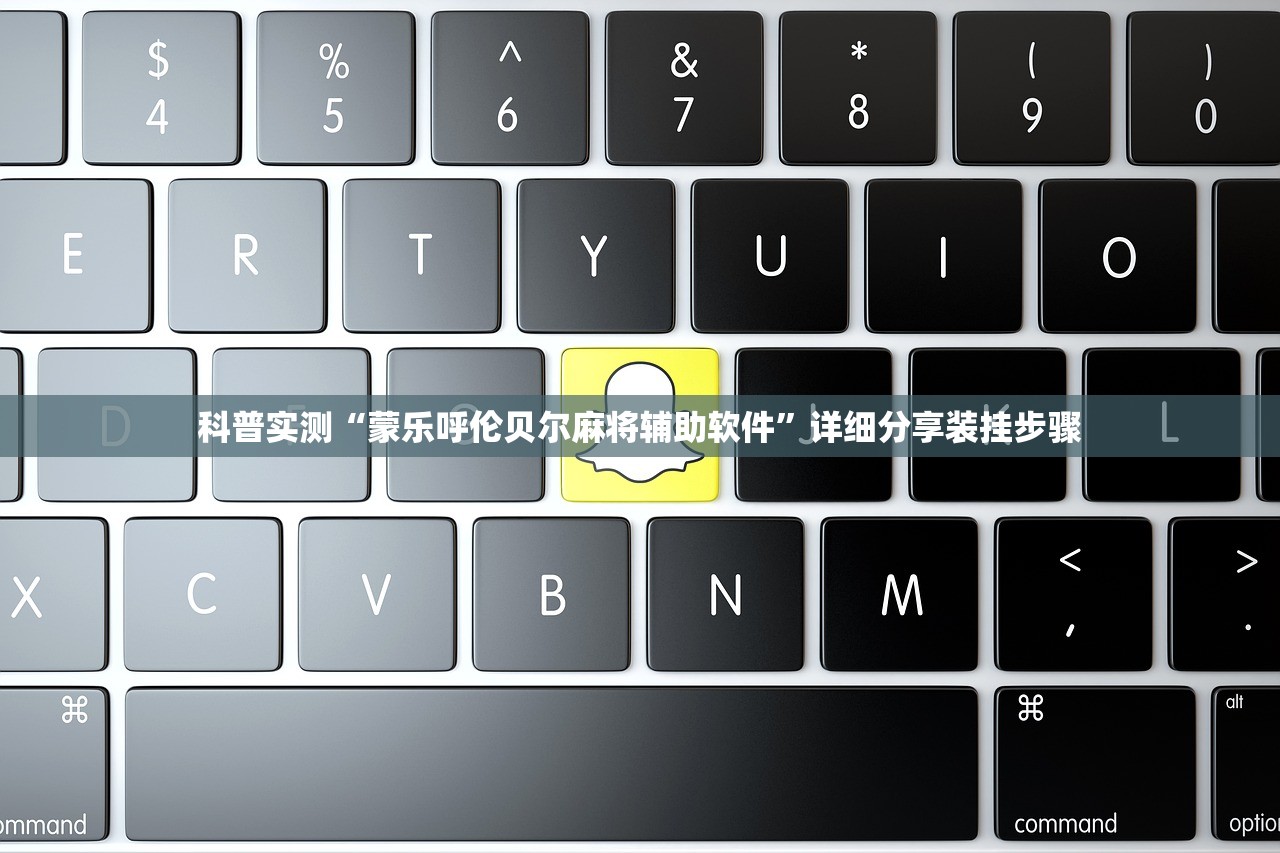 科普实测“蒙乐呼伦贝尔麻将辅助软件	”详细分享装挂步骤