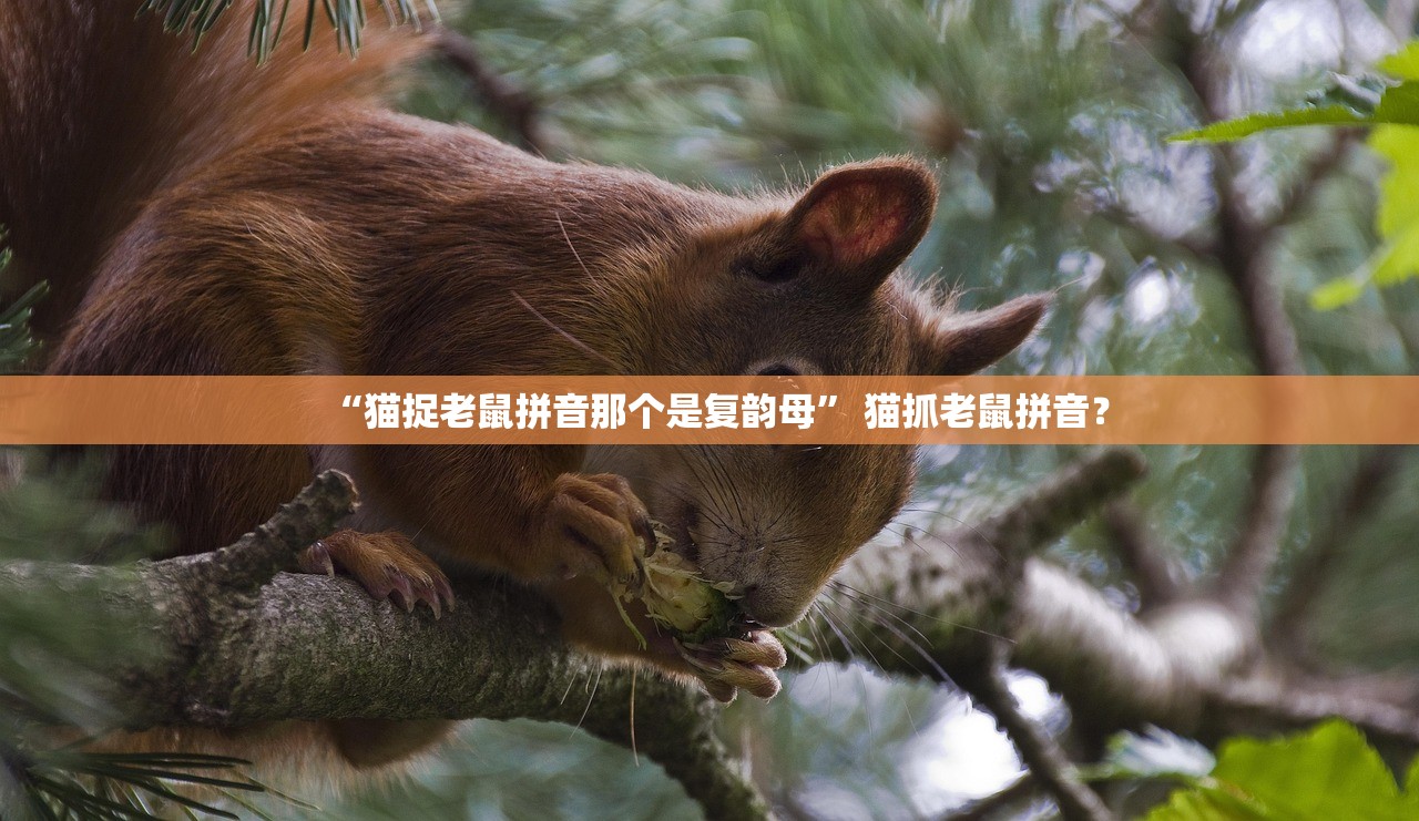 “猫捉老鼠拼音那个是复韵母	” 猫抓老鼠拼音？
