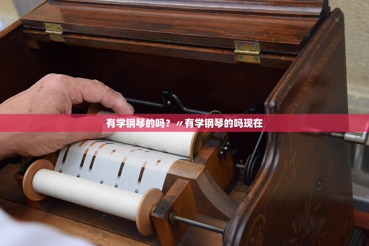 有学钢琴的吗?〃有学钢琴的吗现在 有学钢琴的吗?〃有学钢琴的吗现在