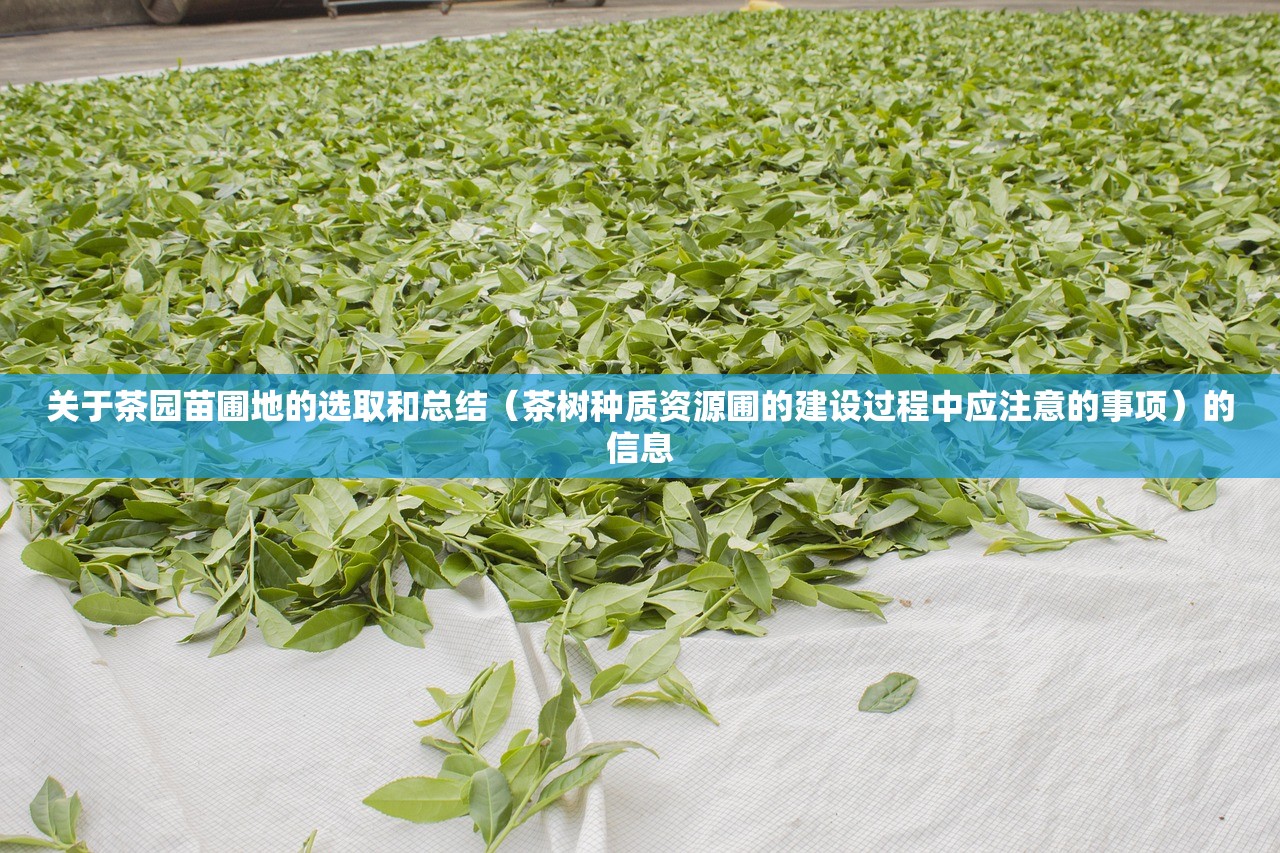 关于茶园苗圃地的选取和总结（茶树种质资源圃的建设过程中应注意的事项）的信息
