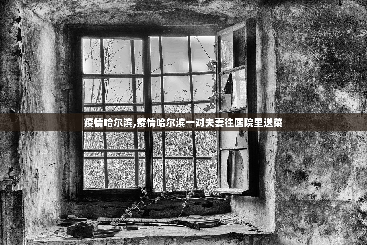 疫情哈尔滨,疫情哈尔滨一对夫妻往医院里送菜 疫情哈尔滨,疫情哈尔滨一对夫妻往医院里送菜