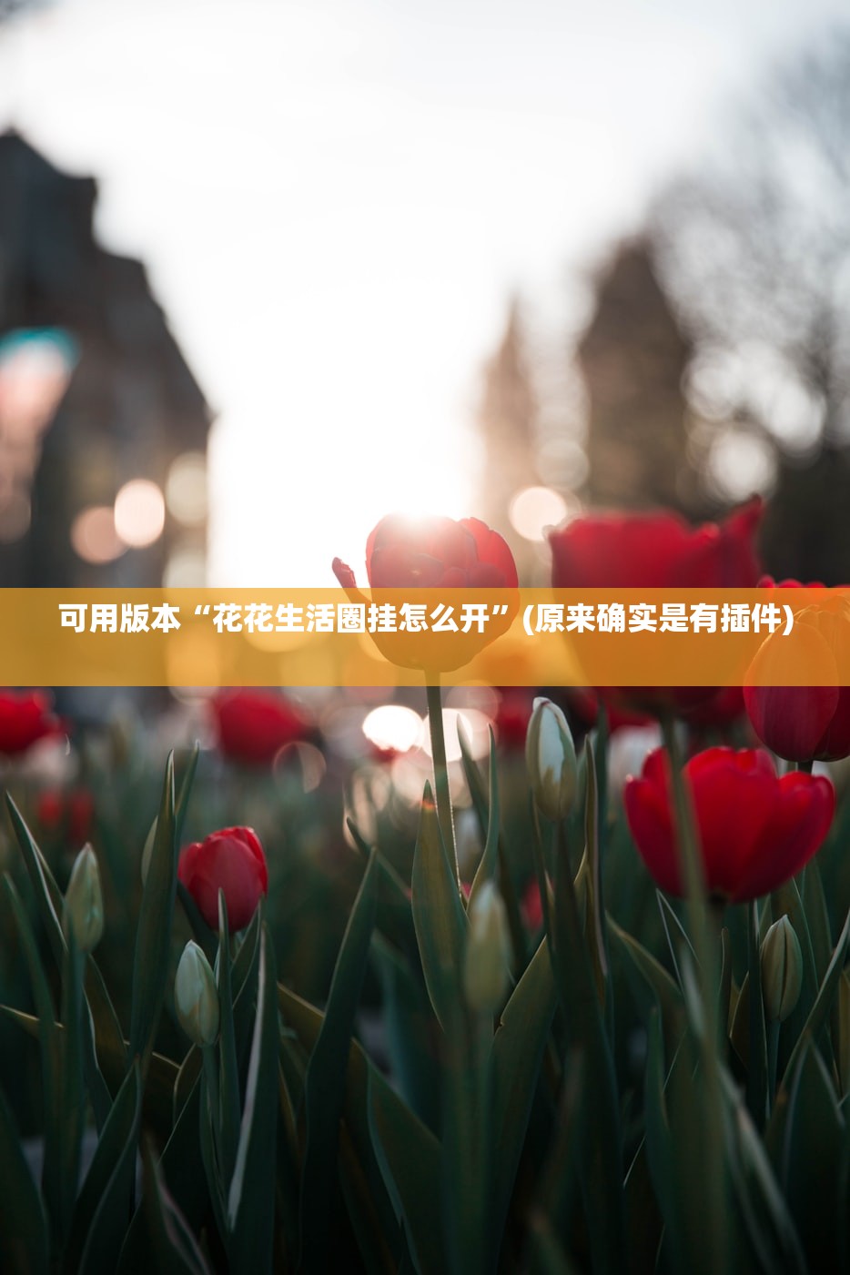 可用版本“花花生活圈挂怎么开”(原来确实是有插件) 