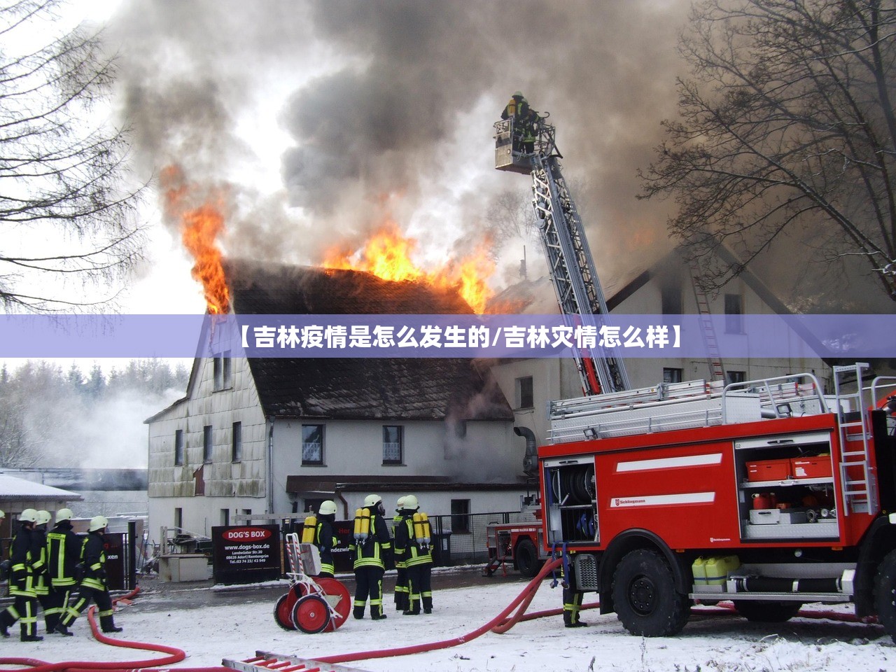 【吉林疫情是怎么发生的/吉林灾情怎么样】 【吉林疫情是怎么发生的/吉林灾情怎么样】