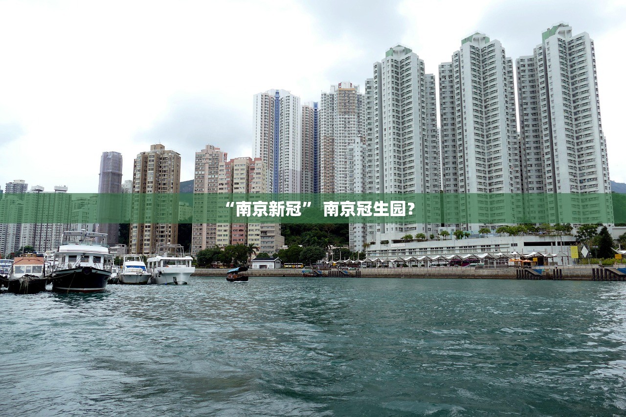 “南京新冠” 南京冠生园？
