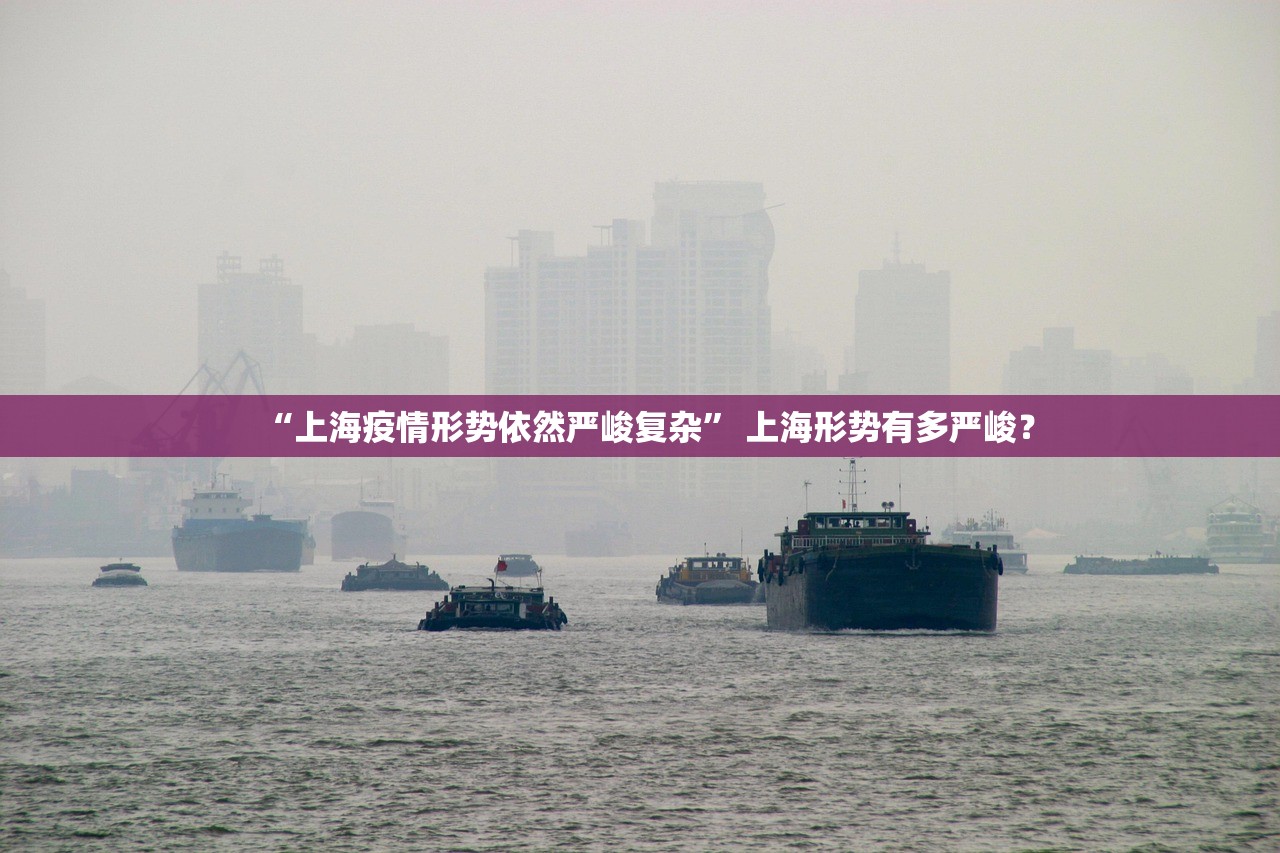 “上海疫情形势依然严峻复杂	” 上海形势有多严峻？