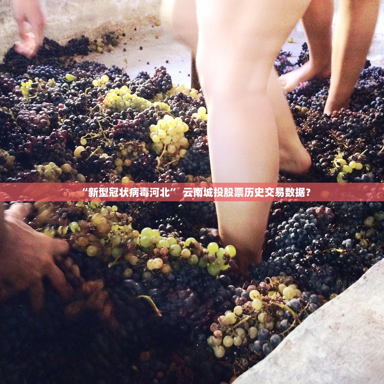 “新型冠状病毒河北” 云南城投股票历史交易数据？