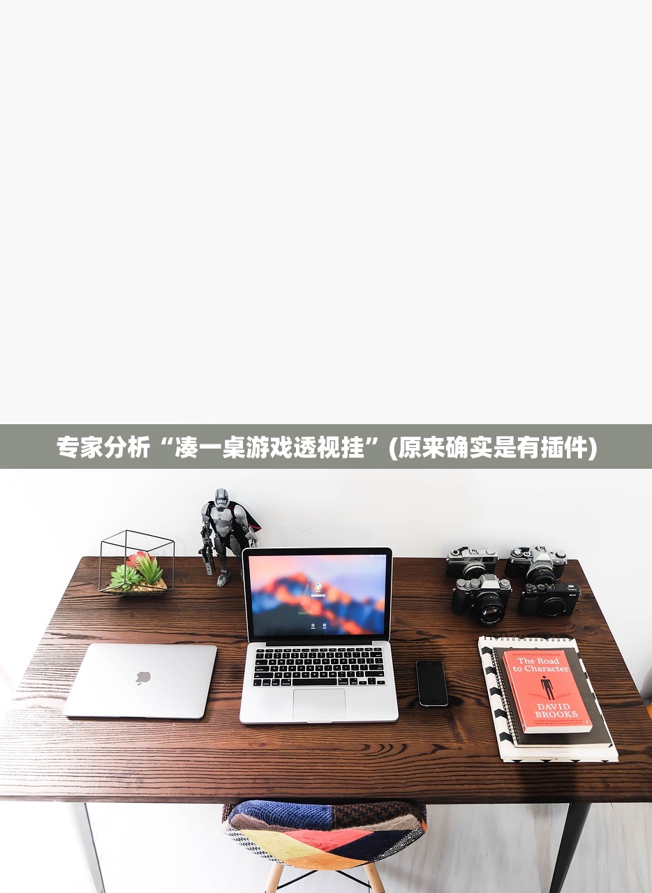 专家分析“凑一桌游戏透视挂	”(原来确实是有插件)