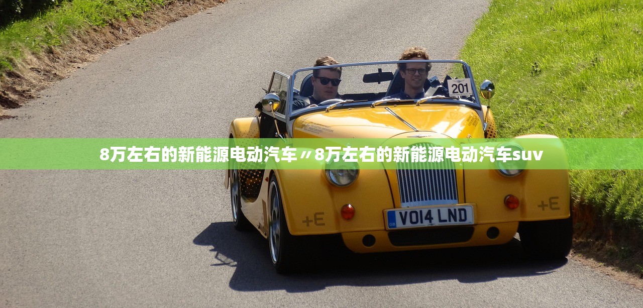 8万左右的新能源电动汽车〃8万左右的新能源电动汽车suv 8万左右的新能源电动汽车〃8万左右的新能源电动汽车suv