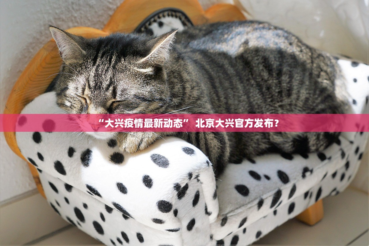 “大兴疫情最新动态” 北京大兴官方发布？