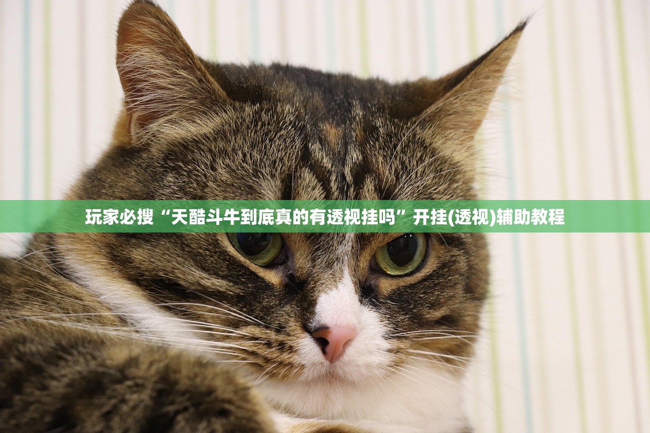 玩家必搜“天酷斗牛到底真的有透视挂吗”开挂(透视)辅助教程