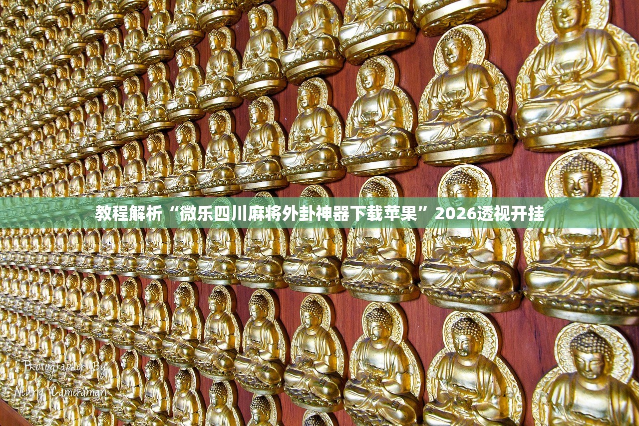 教程解析“微乐四川麻将外卦神器下载苹果”2026透视开挂
