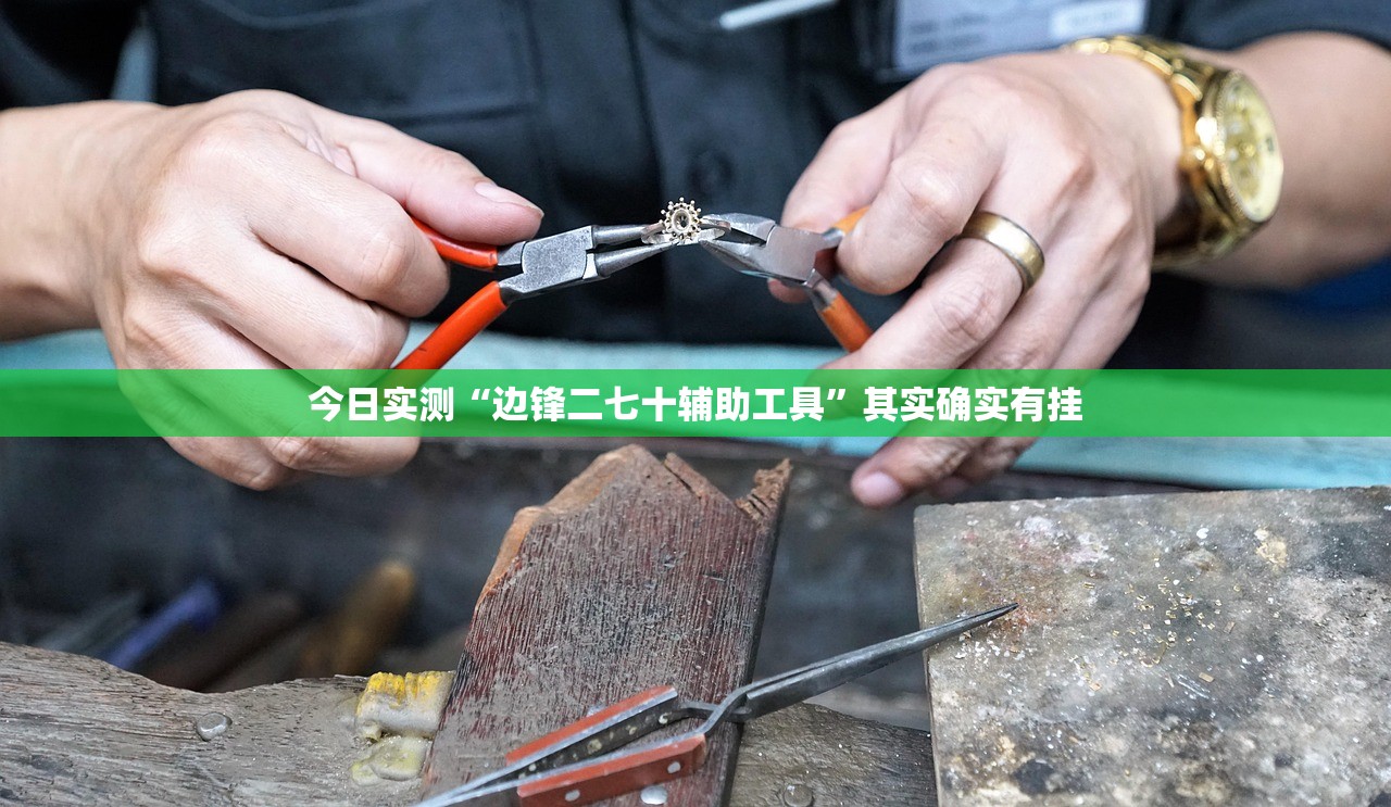 今日实测“边锋二七十辅助工具”其实确实有挂