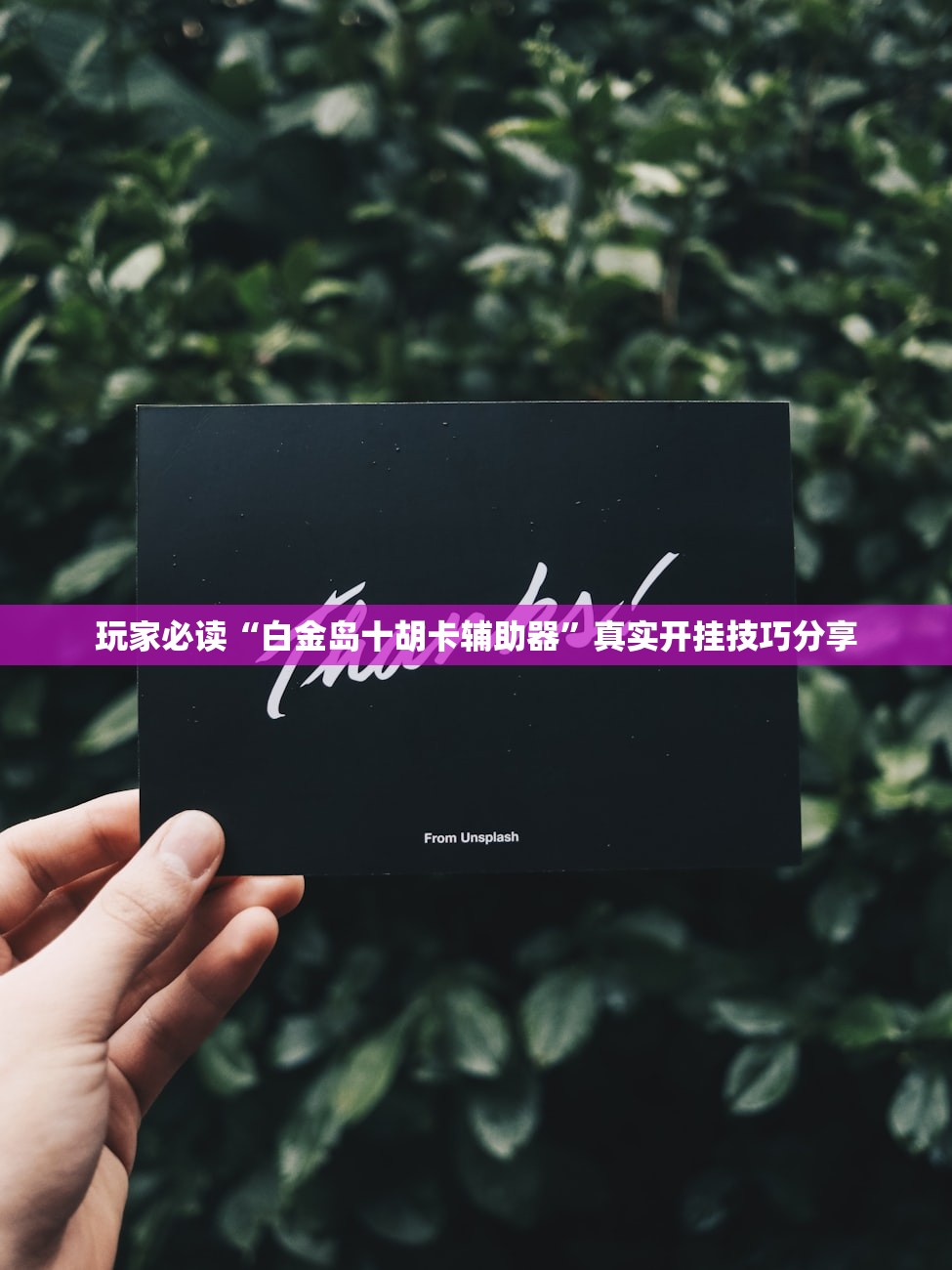 玩家必读“白金岛十胡卡辅助器	”真实开挂技巧分享