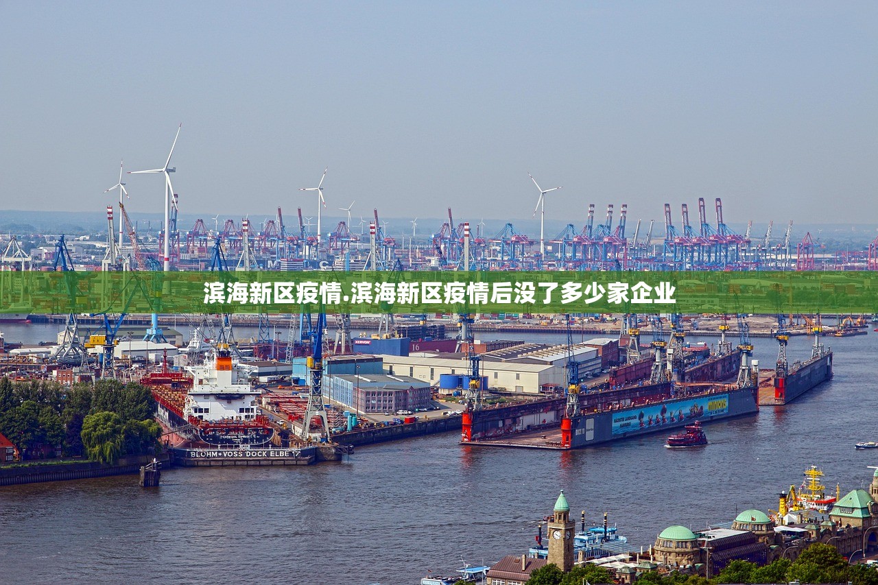 滨海新区疫情.滨海新区疫情后没了多少家企业 滨海新区疫情.滨海新区疫情后没了多少家企业