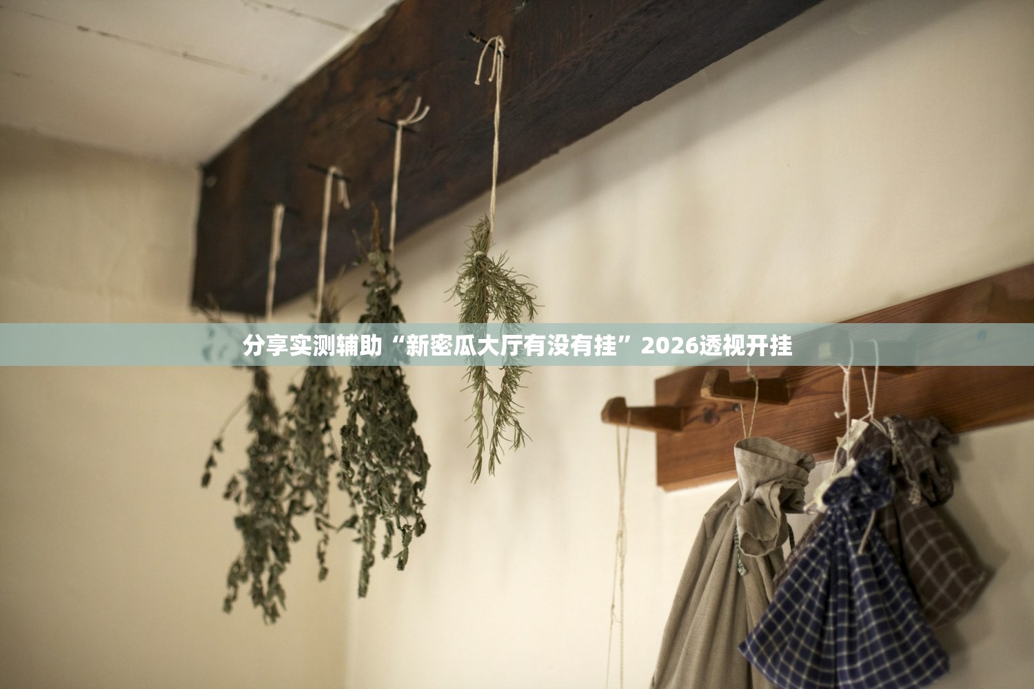 分享实测辅助“新密瓜大厅有没有挂”2026透视开挂