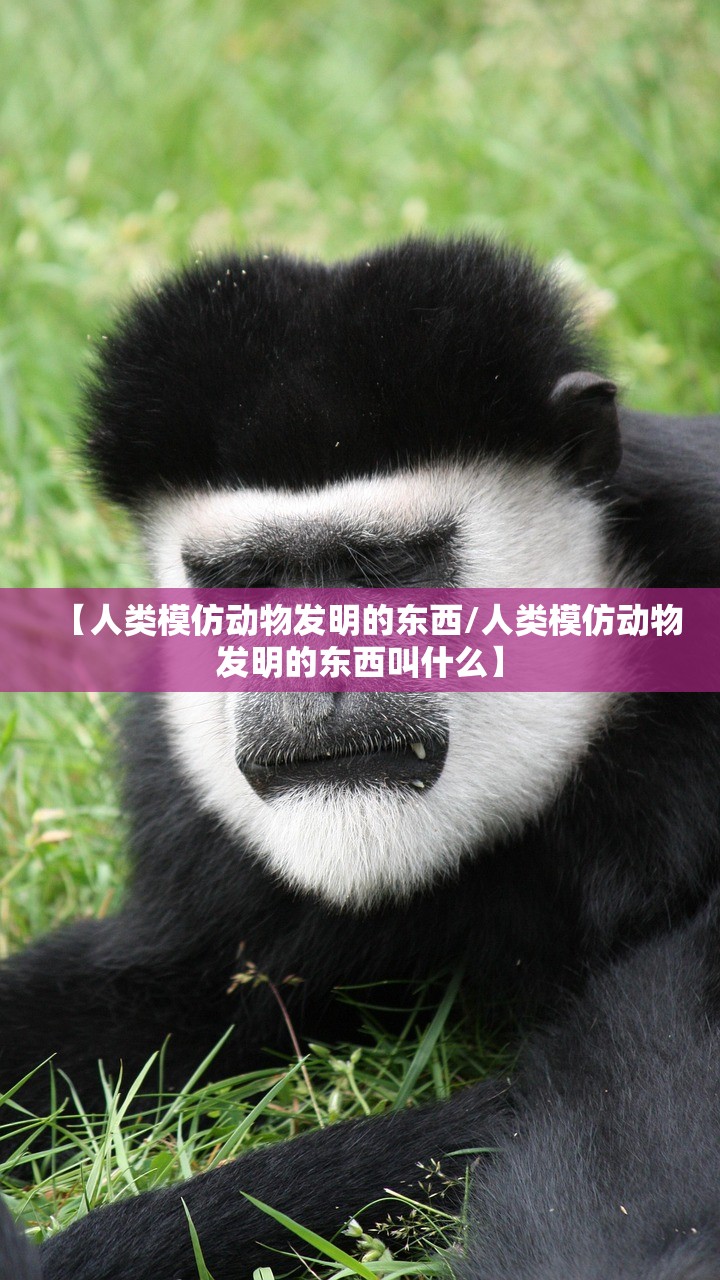 【人类模仿动物发明的东西/人类模仿动物发明的东西叫什么】 【人类模仿动物发明的东西/人类模仿动物发明的东西叫什么】