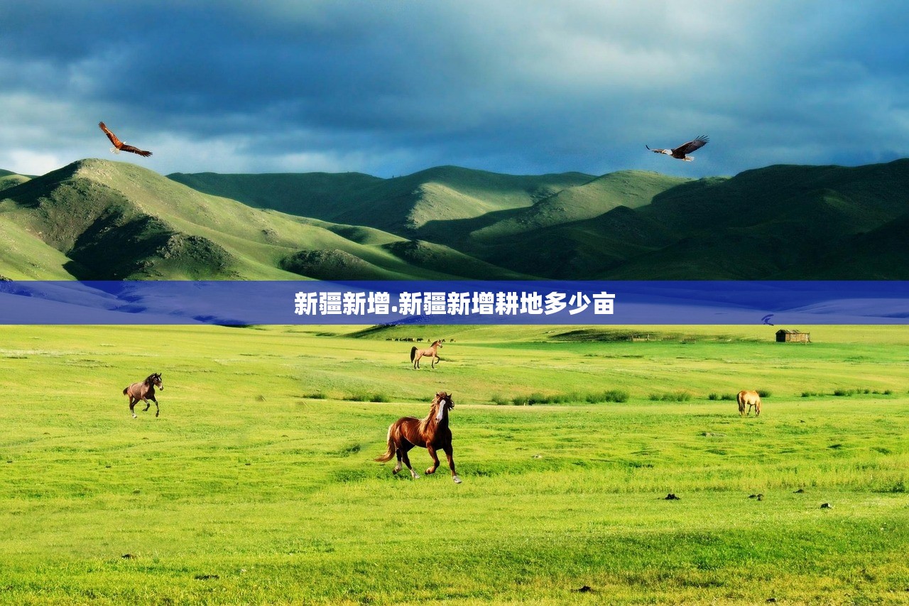 新疆新增.新疆新增耕地多少亩 新疆新增.新疆新增耕地多少亩
