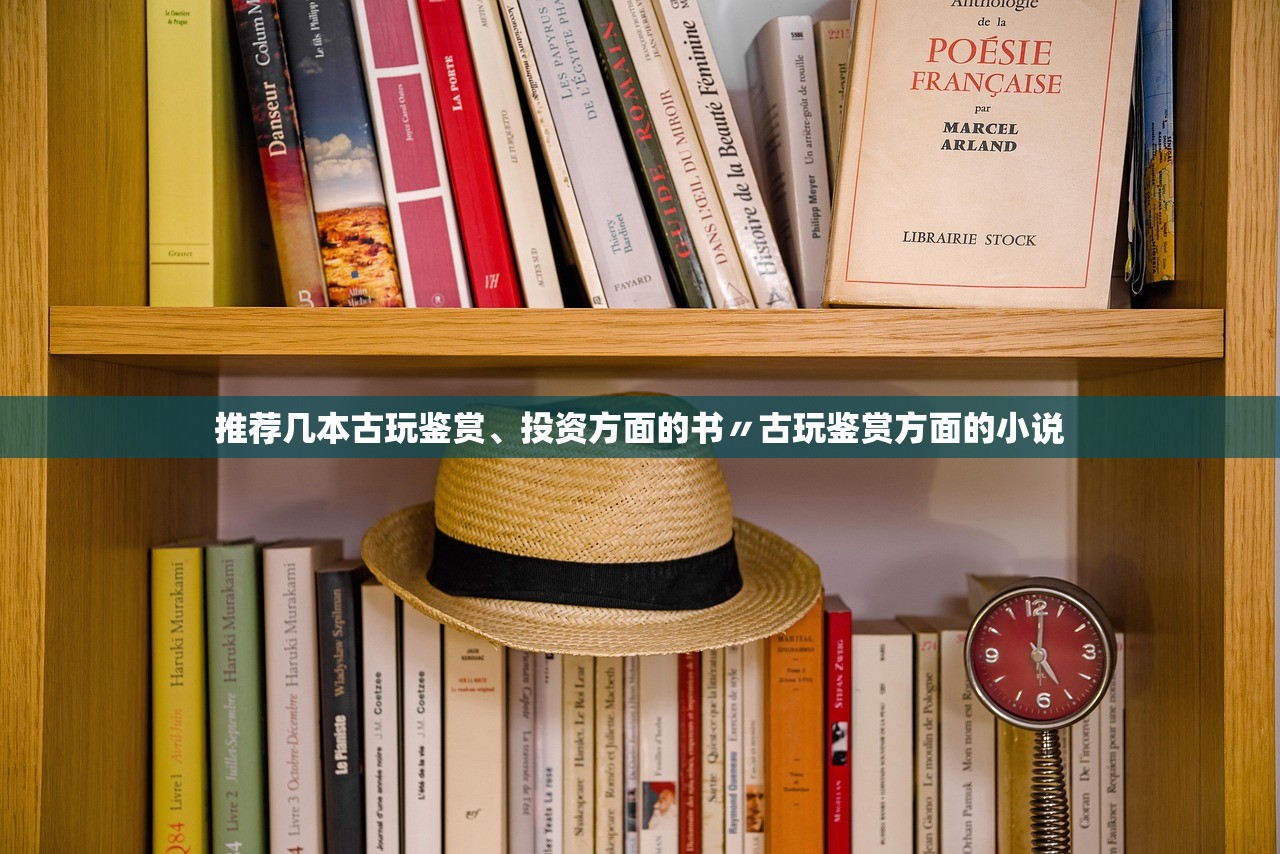 推荐几本古玩鉴赏	、投资方面的书〃古玩鉴赏方面的小说