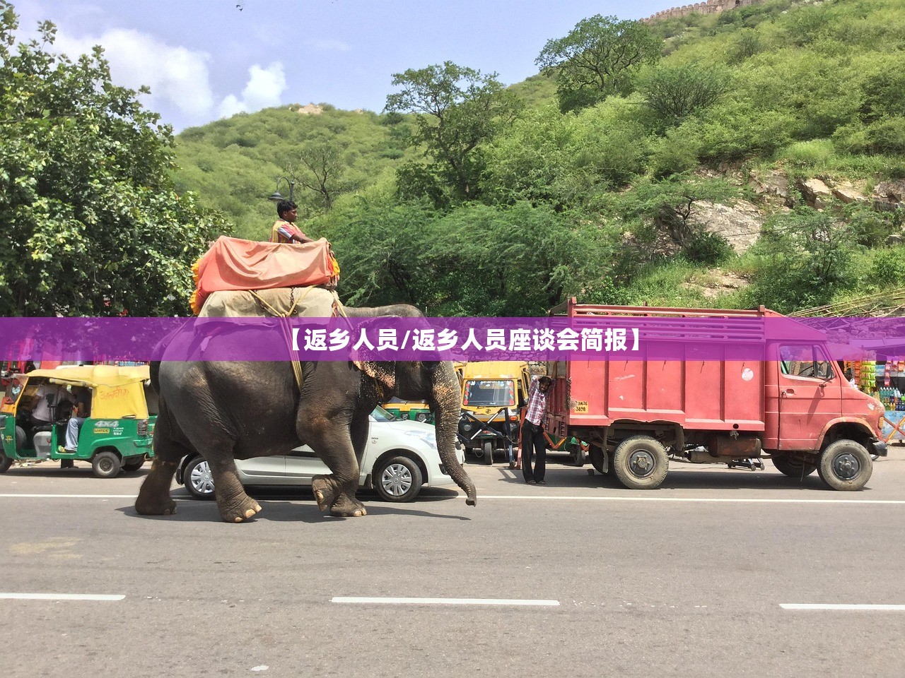 【返乡人员/返乡人员座谈会简报】 【返乡人员/返乡人员座谈会简报】
