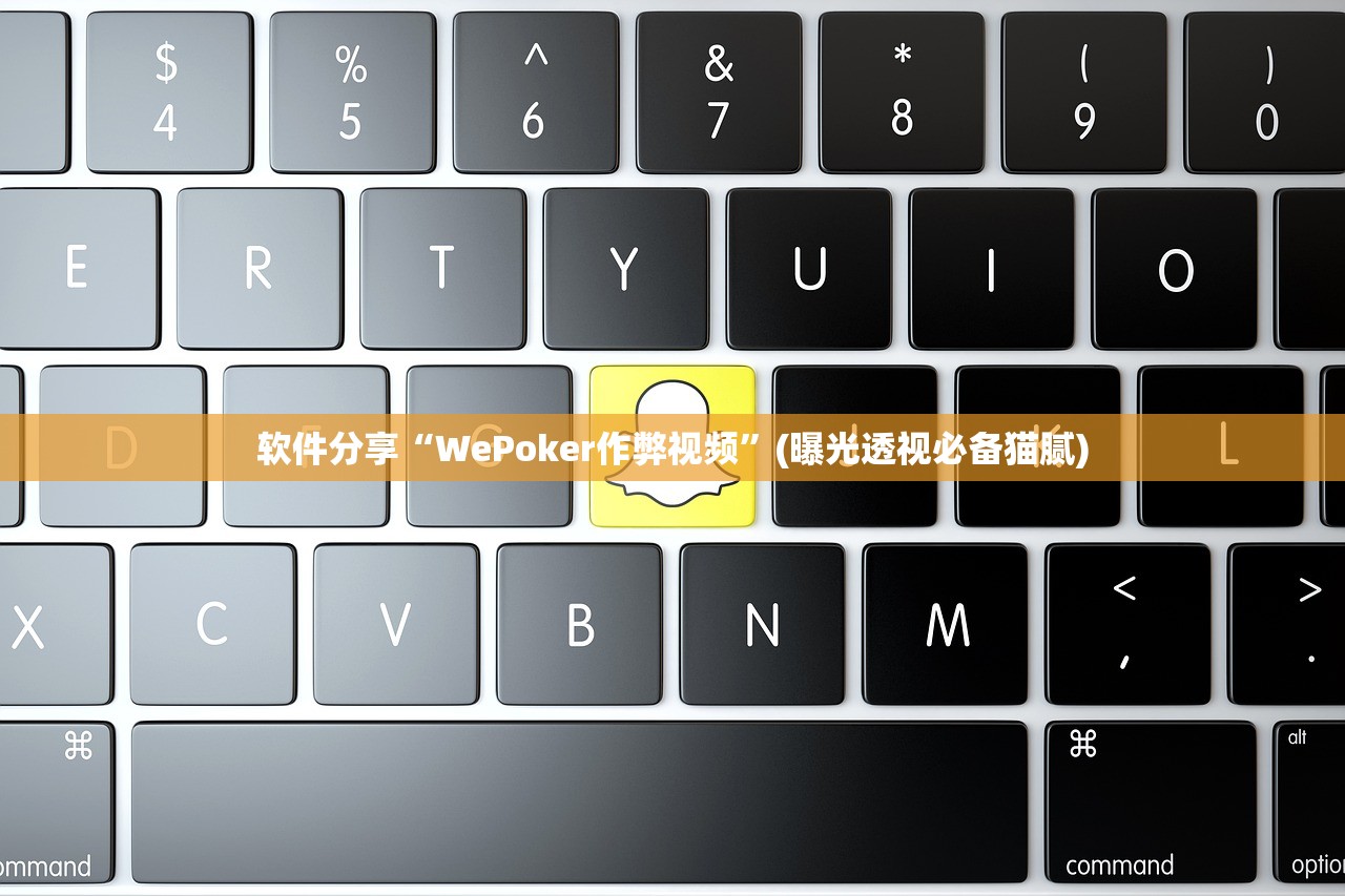 软件分享“WePoker作弊视频”(曝光透视必备猫腻)