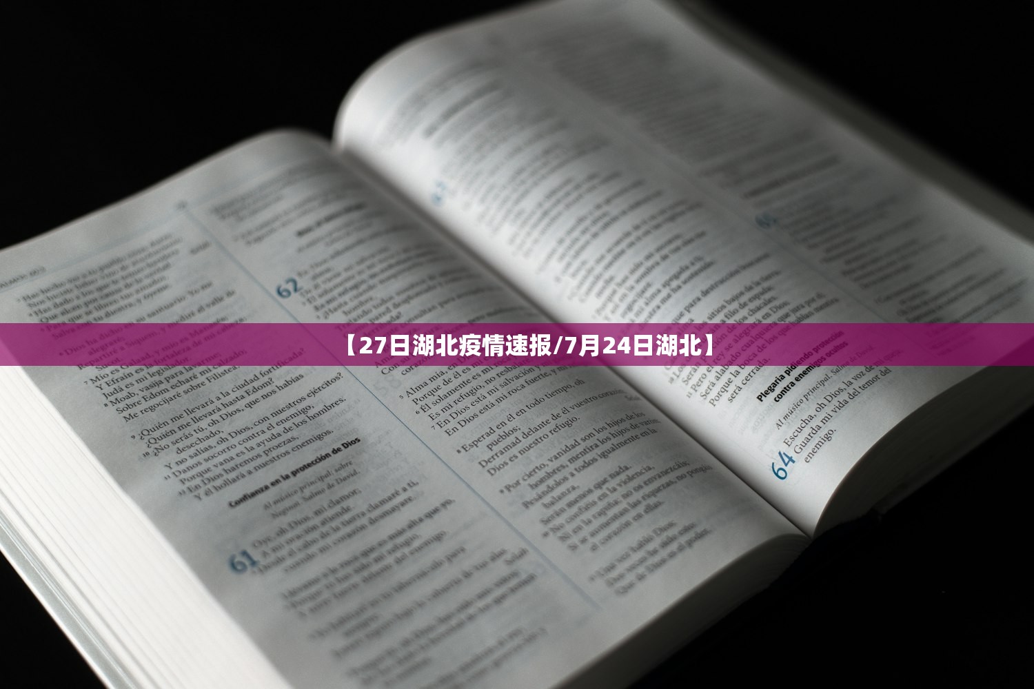 【27日湖北疫情速报/7月24日湖北】 【27日湖北疫情速报/7月24日湖北】