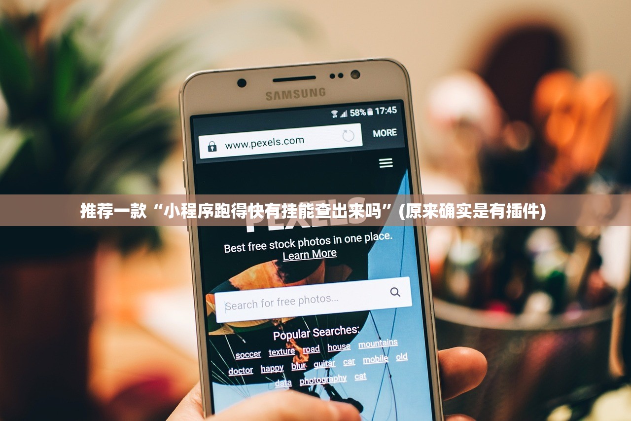 推荐一款“小程序跑得快有挂能查出来吗”(原来确实是有插件) 